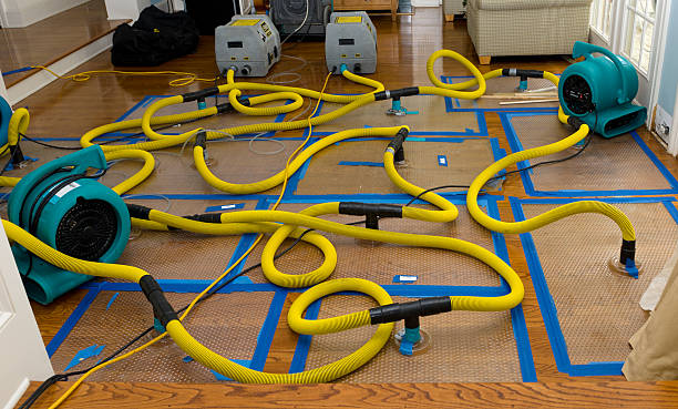 Professional Storm Water Damage Restoration technician working in Isanti, MN